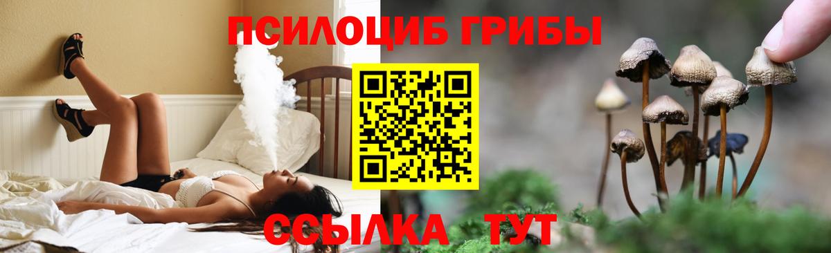 Галлюциногенные грибы GOLDEN TEACHER Курчалой